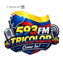 Tricolor Radio 593