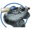 Guerilla Cricket Radio