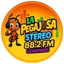 La Pegajosa Stéreo