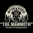 Mammoth Radio