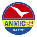 Anmic