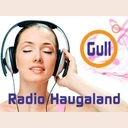 Haugaland Gull