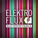 Elektro Flux