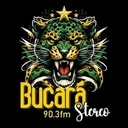 Bucará Estéreo