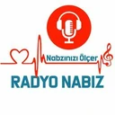 Radyo Nabiz