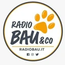 Radio Bau & Co