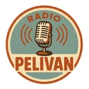 Radio Pelivan