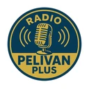 Radio Pelivan Plus