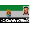 Entre Amigos Flamenco