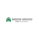 Bigode Grosso