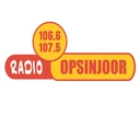 Opsinjoor