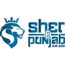 Sher e Punjab