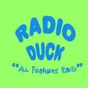 Duck Radio