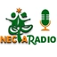 Nectar Radio