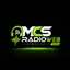 MCS Radio