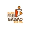 Rádio Frei Galvão