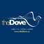 KDOV The Dove
