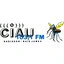 CIAU Radio