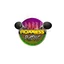 Roxxiess Radio