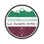 Coccinelle