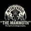 Mammoth Radio