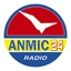 Anmic
