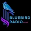 Bluebird Love Radio