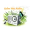 Gylne Hits