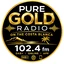 Pure Gold Radio BR2