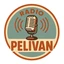 Radio Pelivan
