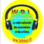 Radio Lebini