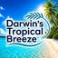 Tropical Breeze Darwin