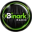 Binark Radio