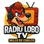 Radio Lobo