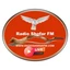 Radio Shofar