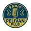 Radio Pelivan Plus