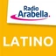 Arabella Latino