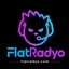 Flat Radio