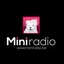 1 MINI