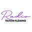 Radio Teltow-Fläming