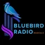 Bluebird Radio Musicals