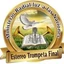Estereo Trompeta Final