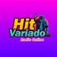 Hit Variado