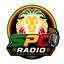 SPC RADIO