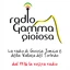 Gamma Gioiosa Love Songs