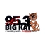 WBKT Big Kat Country