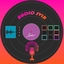 Radio SVLB