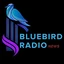 Bluebird News Radio