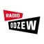 Odzew