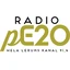 pE20